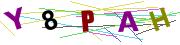 P4uLLy